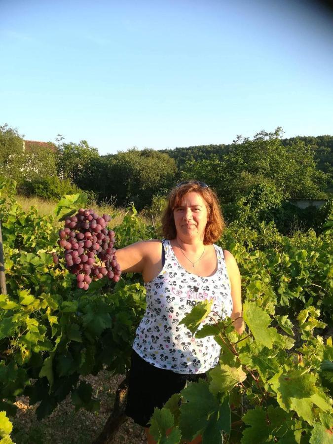Milda+M Daire Skradin Dış mekan fotoğraf